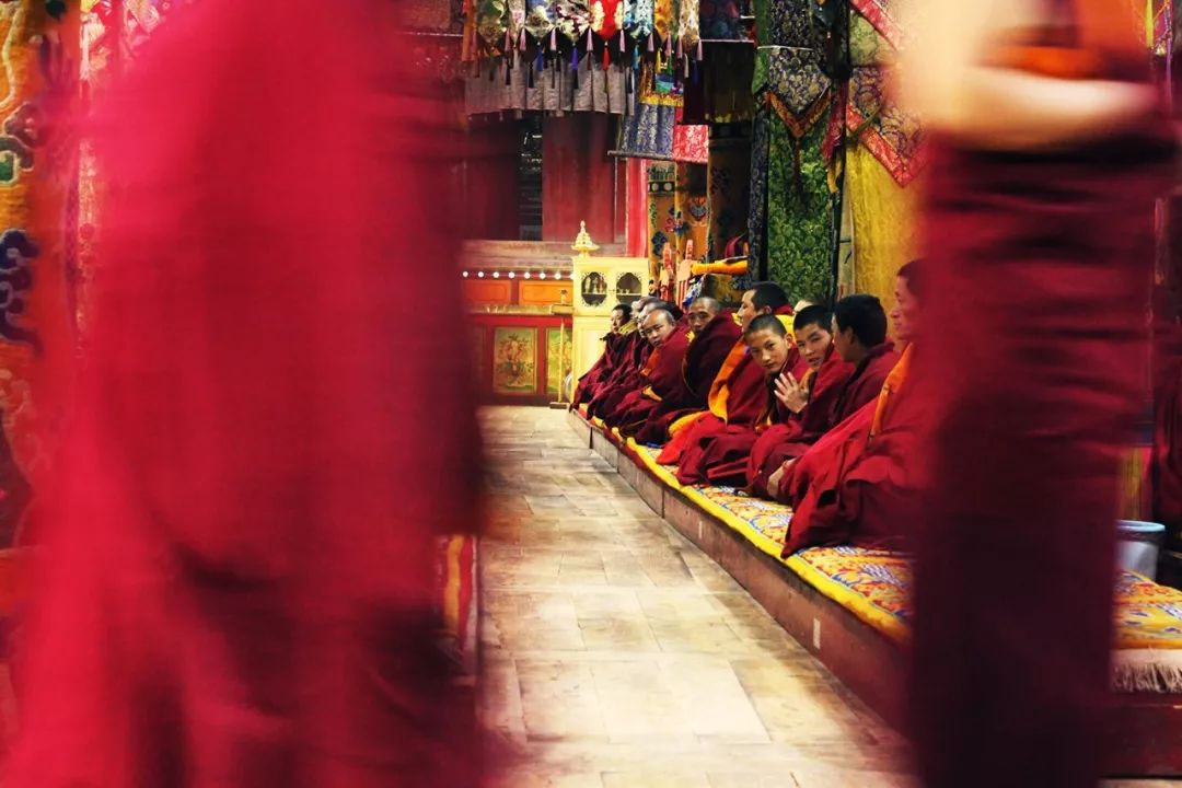 天未亮,拉加寺的喇嘛们已经聚集在经堂里上起了早课,我们的进入引起了