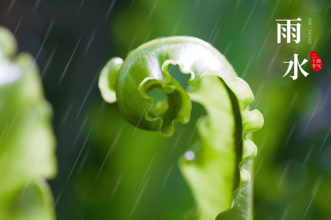 雨水:好雨時節,潤物無聲.