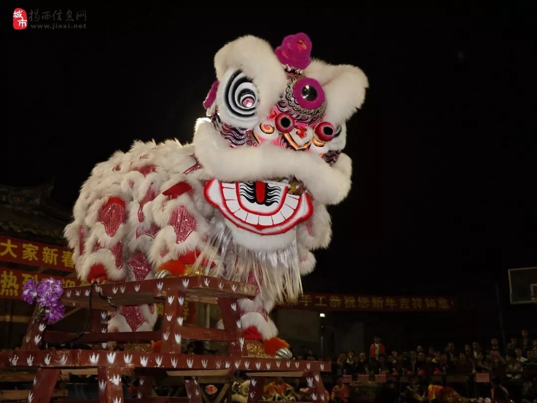 宾阳舞狮图片