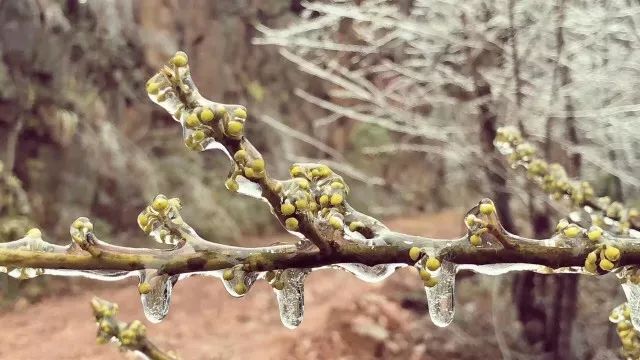 撰稿:张佳成照片:付雯编辑:钟怡琳责编:王建泰返回搜狐,查看更多