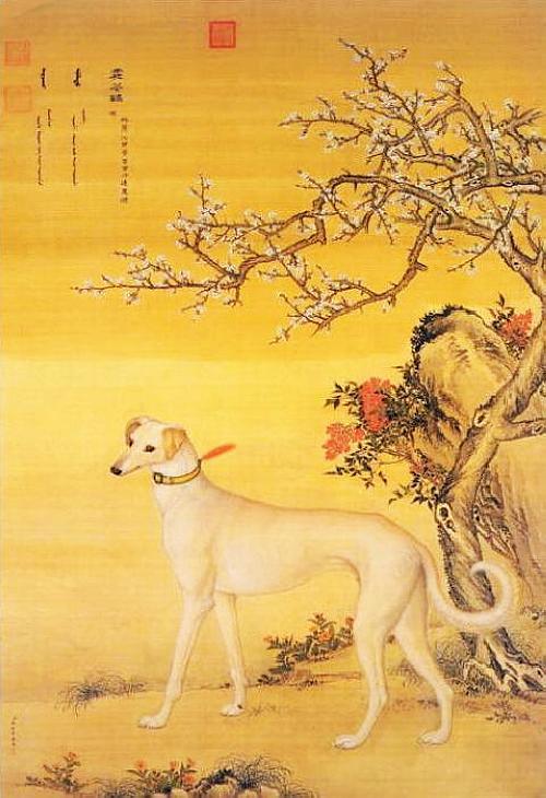 郎世寧 犬圖