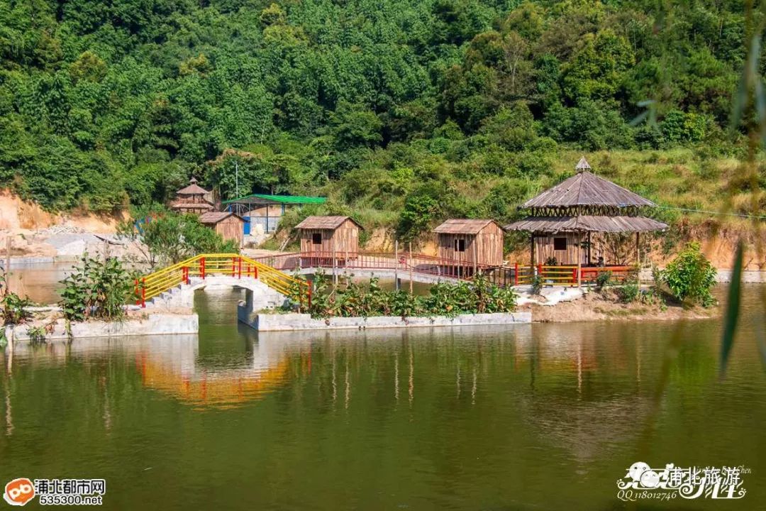 浦北雙良芭樂園從大年初一到元宵節期間,越州天湖景區為廣大群眾獻上