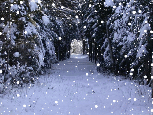 下雪的图片实景 动态图片