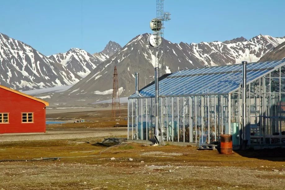 北极科考站黄河站图片