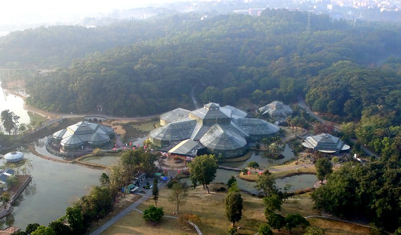 戊戌廣州過大年之一華南植物園