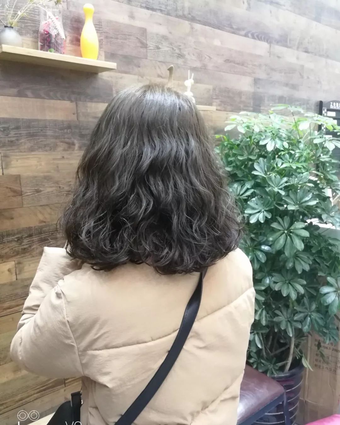 2018狗年最新流行的泰迪卷发发型图片!