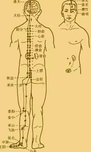 令大家的記憶力能夠更好,並且時刻都處在精力充沛的狀態下