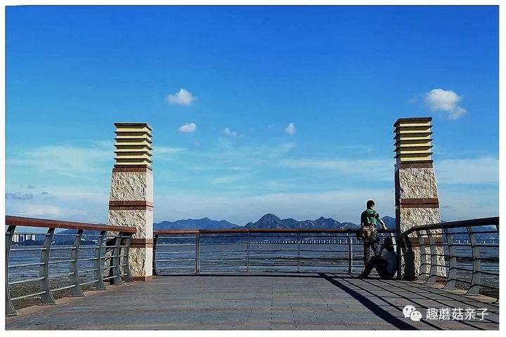 東起福田紅樹林鳥類自然保護區,西至海上世界,北靠濱海大道,南臨深圳