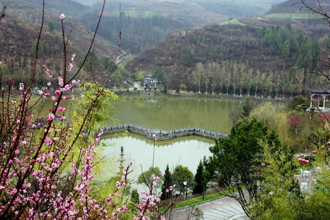 【速看】徽縣泰湖的這一幕…太驚豔了!_搜狐旅遊_搜狐網