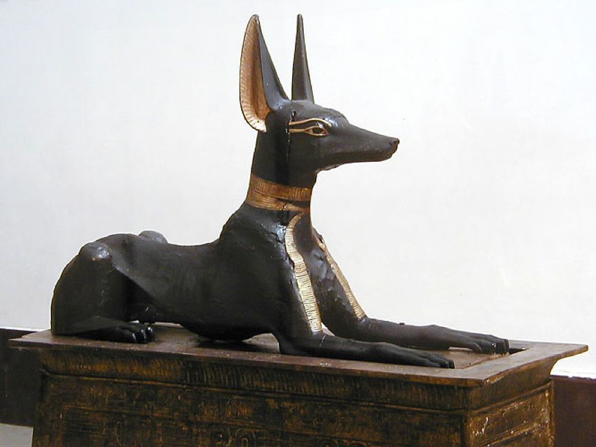 把几百万只狗狗做成了木乃伊古埃及人要干嘛