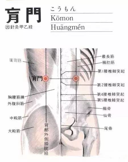 肩髃透极泉图片