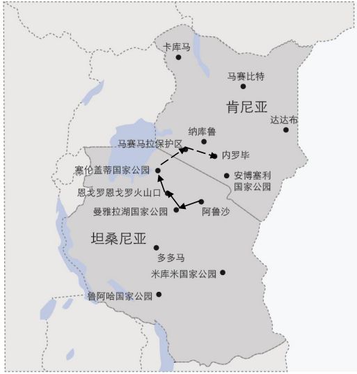 第七天 尊享 罗博携手a&k启程定制私享旅程:非洲游猎,南美秘境