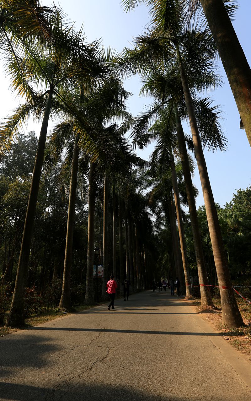 中國科學院華南植物園遊覽區位於廣州市天河區龍洞天源路1190號,佔地