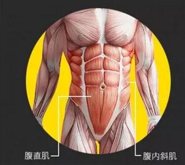 在i代的基础上,腹肌贴片两侧向外延伸,可覆盖更多区域,锻炼腹内斜肌