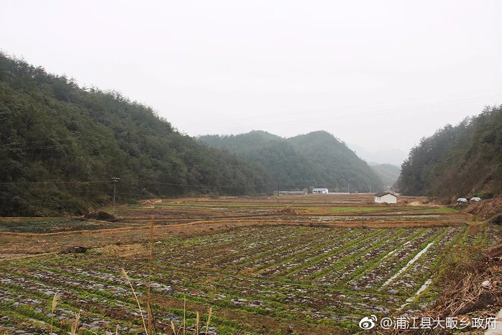 大畈乡清溪村250余亩土地对外招商!大家可以报名参加了