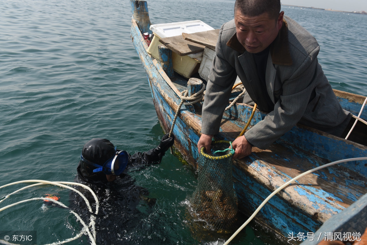 海猛子穿著厚重的棉衣棉褲,抵達海區後還要紮上