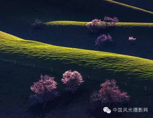 紅山大峽谷,賽里木湖,吐爾根杏花溝,那拉提,吐魯番大峽谷,火焰山