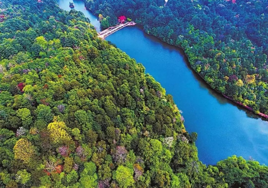 磨盤山國家森林公園位於新平彝族,傣族自治縣東南部.