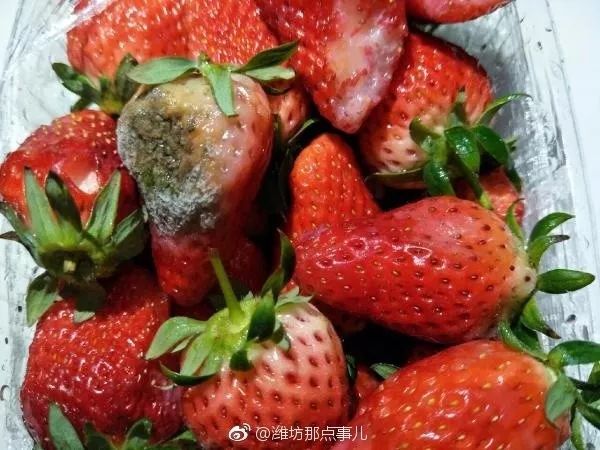 新买酸奶已开封草莓腐烂往外卖潍坊这家超市怎么了