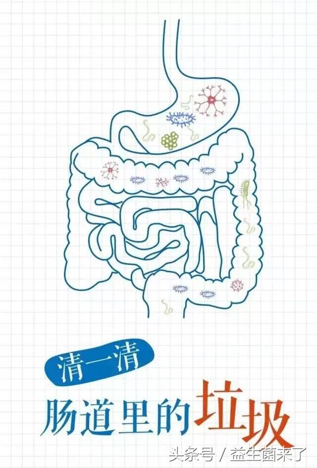 节后清肠图片