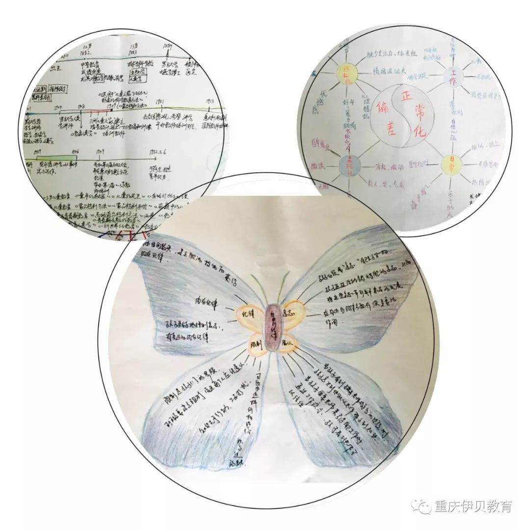 蒙台梭利生平线图图片