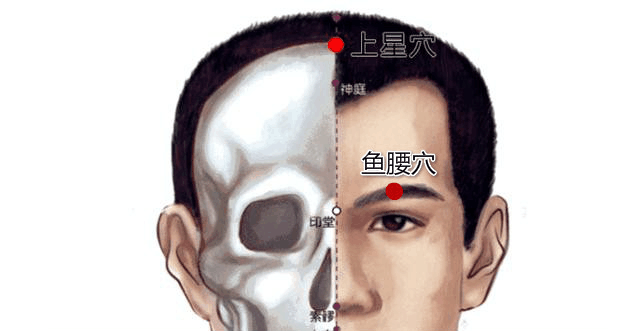 鱼腰的准确位置图片图片