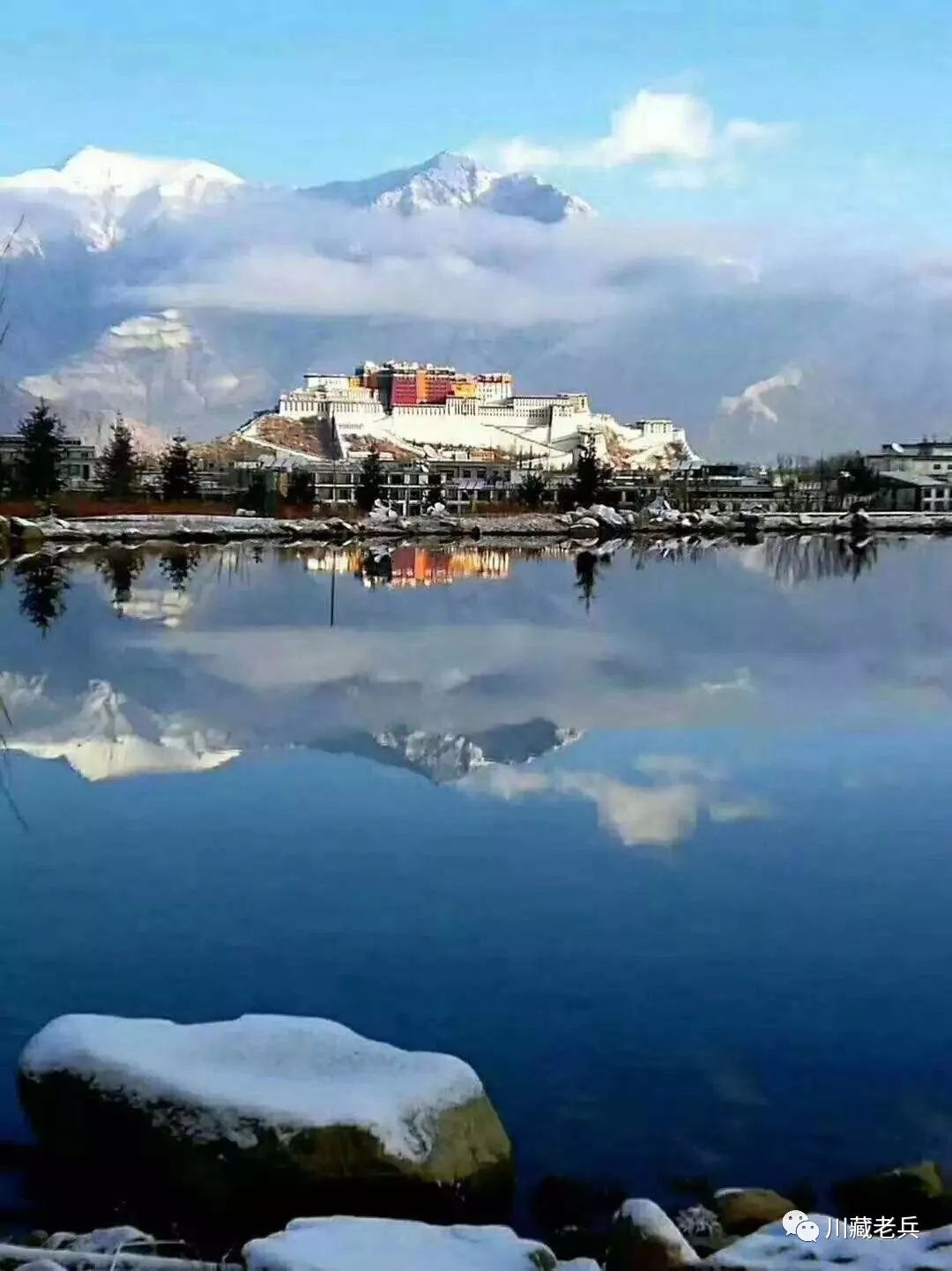 "所有图片为西藏老兵于布达拉宫的二环外的沼泽地旁拍摄"这场雪下得