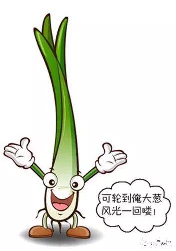 青葱的不仅是岁月,还有这四大功效!看完小编赶紧去买葱了