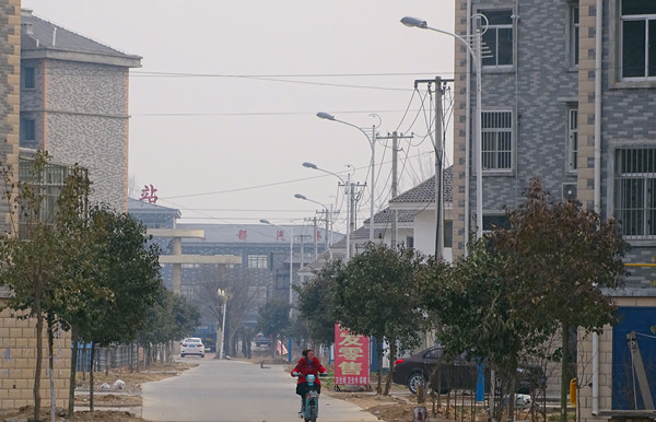 牡丹区胡集镇路灯引领健康路