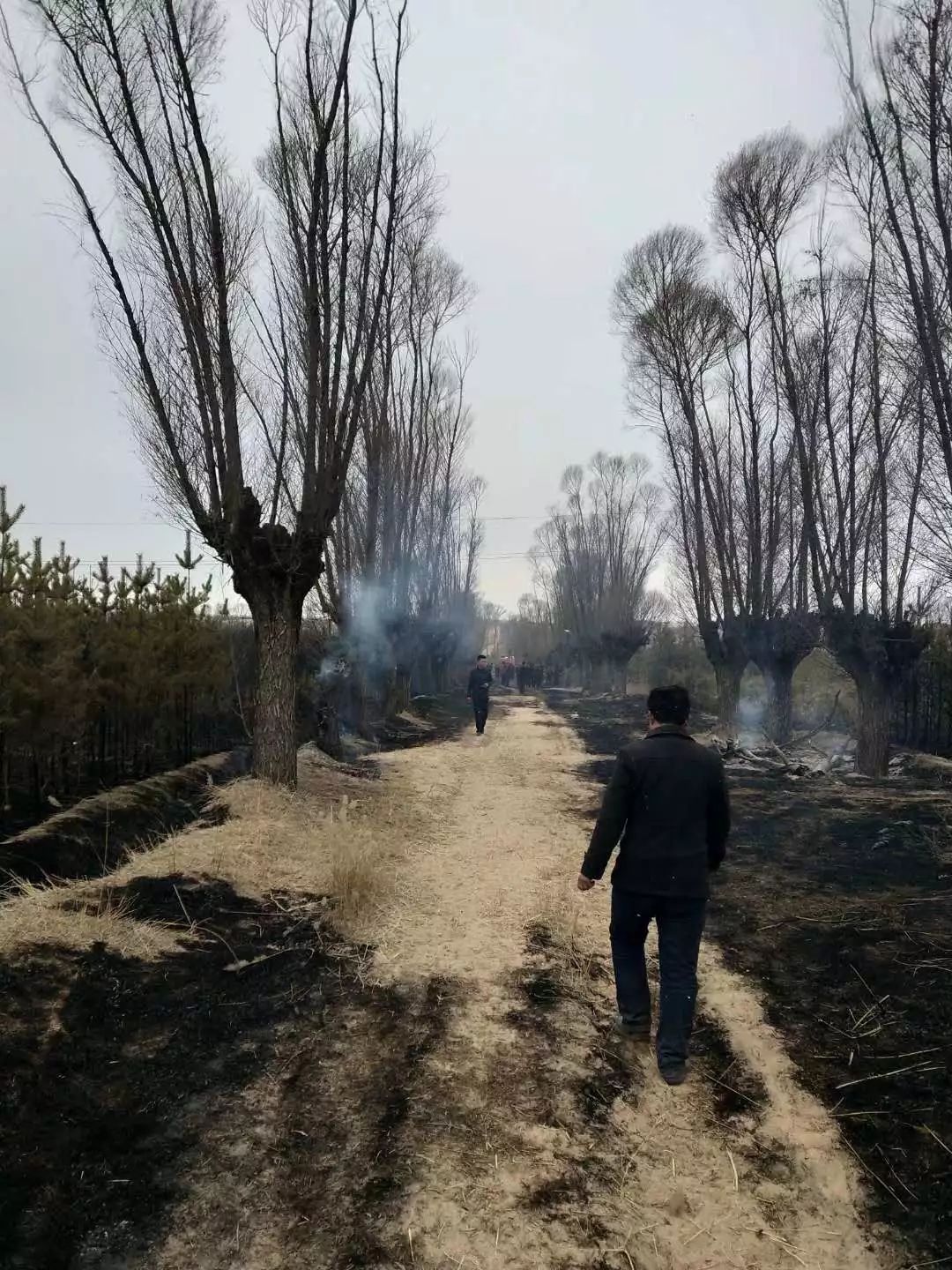 横山王圪堵水库附件林地发生火灾