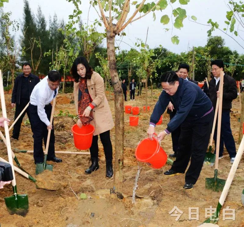 电白区:书记区长义务植树,干群合力再添新绿