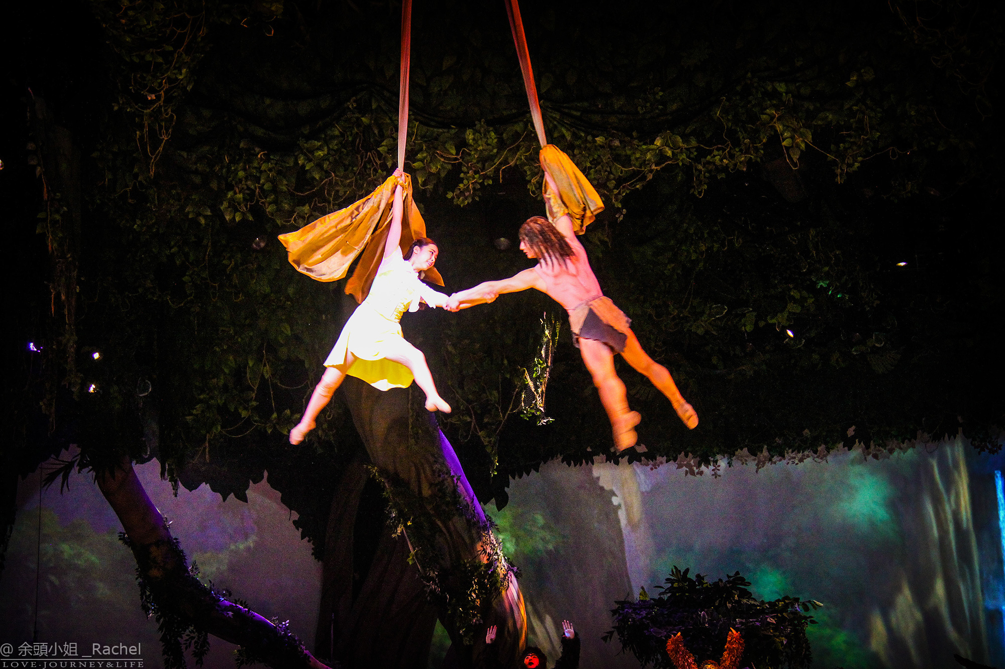 人猿泰山:丛林的呼唤是上海迪士尼乐园娱乐演出中的一部原创作品,由
