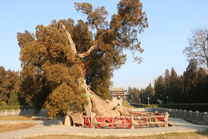 中华始祖舜帝陵原来在山西运城