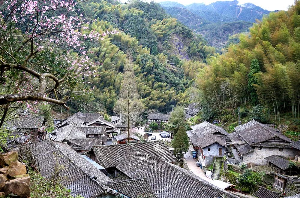 仙居县淡竹乡林坑村图片