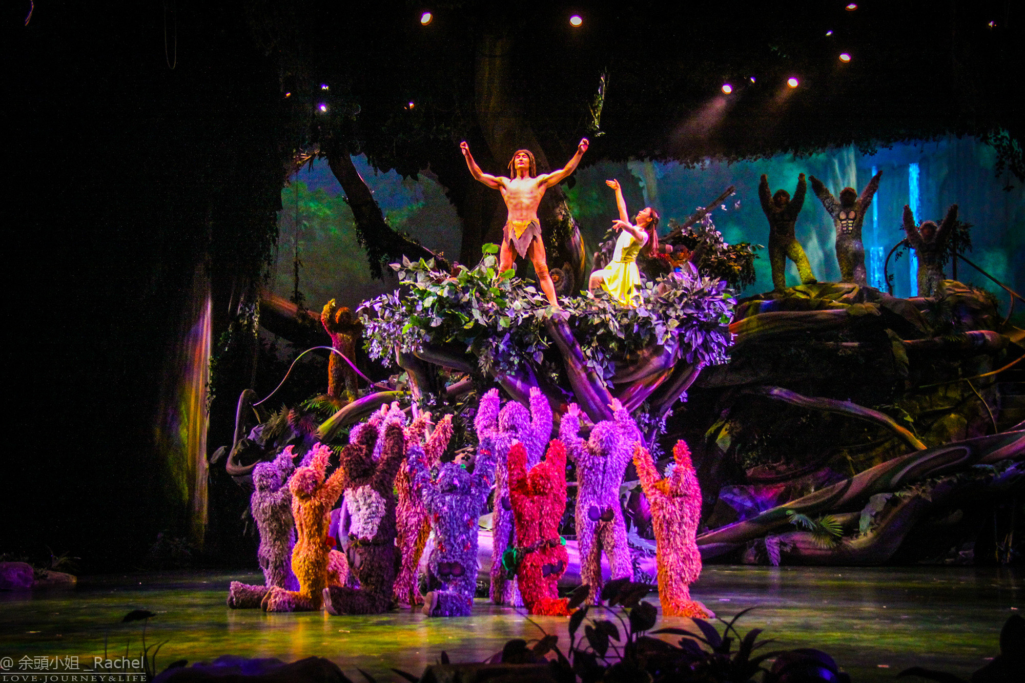 人猿泰山:丛林的呼唤是上海迪士尼乐园娱乐演出中的一部原创作品,由