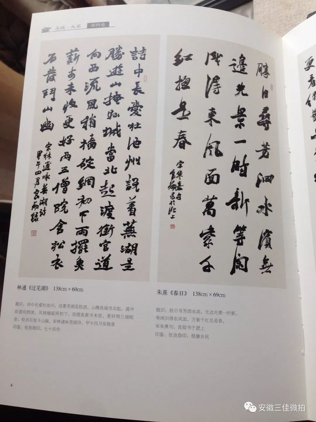 3平尺設色紙本軟片1997年作4.張建中 蓮潔rmb:6,80089×69cm 約5.