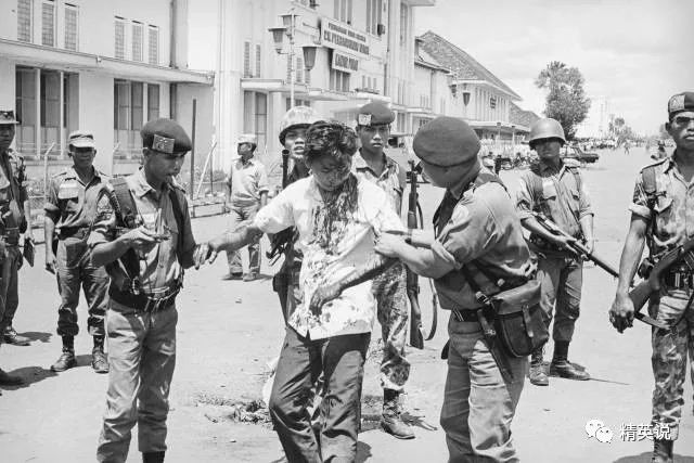 印尼入侵西巴布亚图片