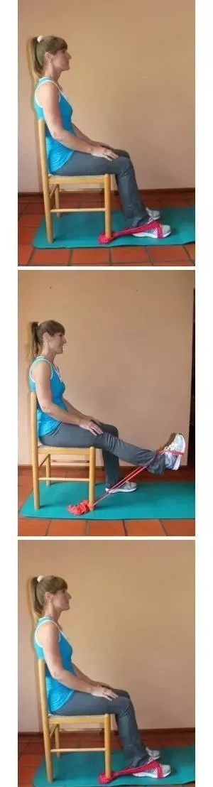 脚踝加赛力带辅助锻炼六沙袋可以增加股四头肌的受力,包括以上的各个
