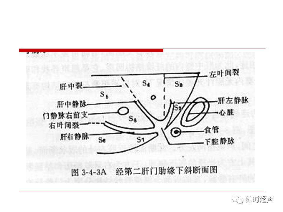 肝臟解剖及超聲表現