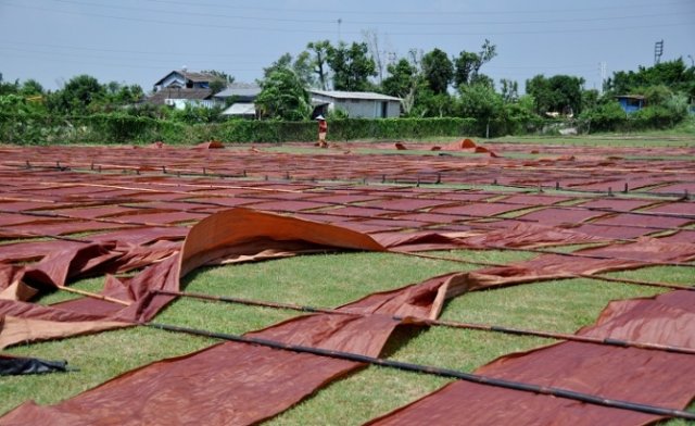 廣東非遺全世界唯中國獨有傳承500年的香雲紗染技藝