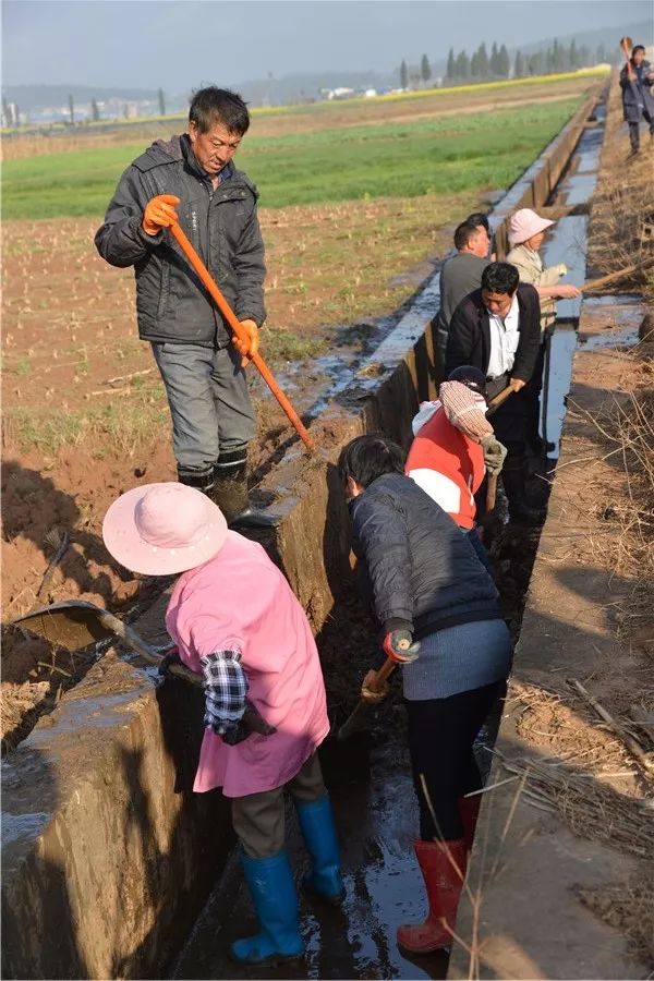 泸西新坝村苟云生图片