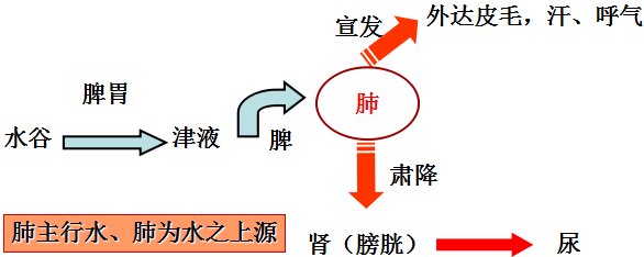 养生就是养精气神,气即生命能量!