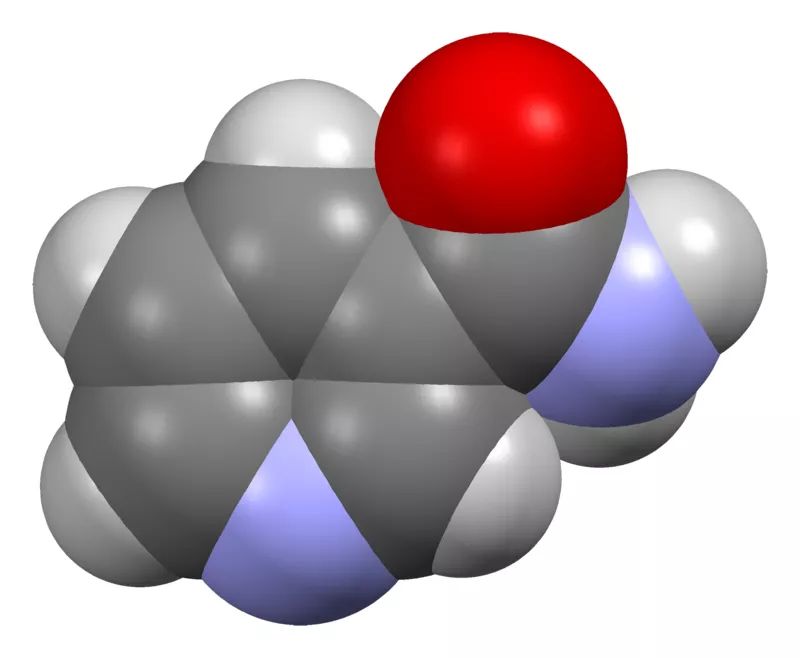 (煙酰胺分子結構圖)