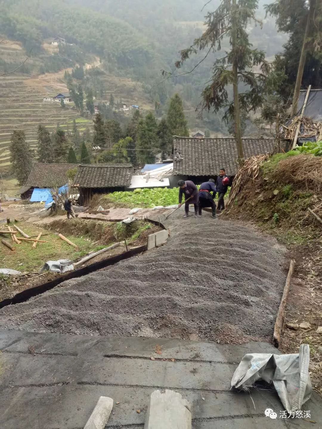 龙江波与茶商负责人到怒溪社区骆家坡实地查看茶叶种植规划及后续厂房