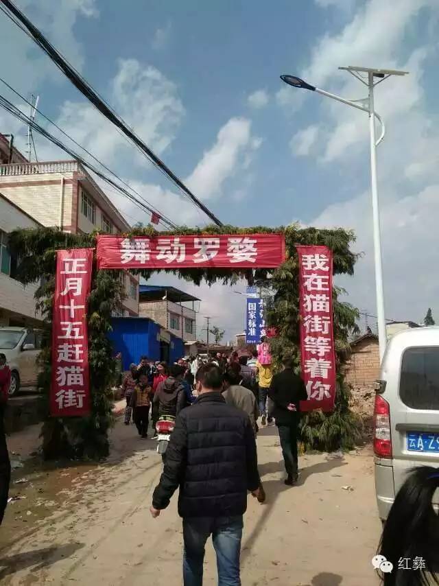 猫街镇人民政府关于举办2018年中国武定猫街第七届"正月十五"民族文化