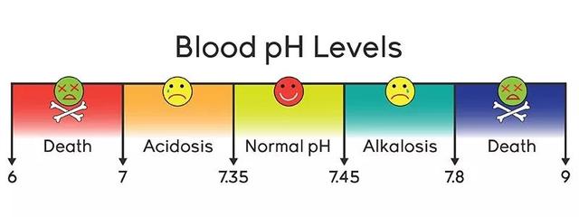 人体血液ph图片