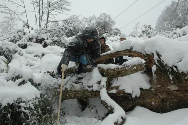 2008年冰災中很多人都印象深刻歷史罕見的特大冰雪災害還記得2008年那