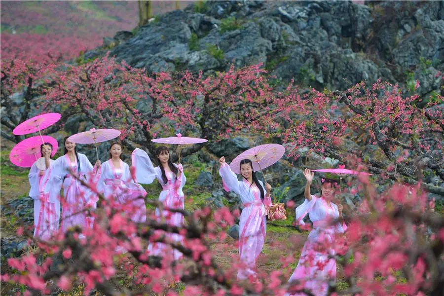 旅游 正文 今年的连州桃花节多地同庆,包括:主会场湟川三峡桃花岛,分