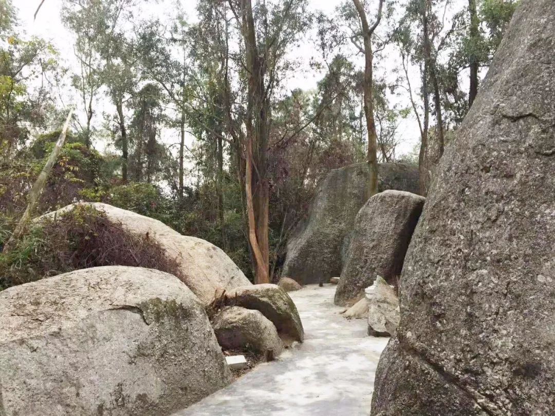 踏青好去处揭阳这个地方惊艳到你的美