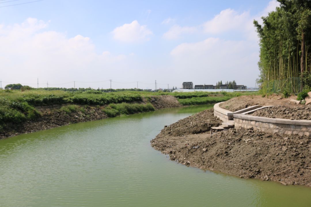 【生态治理】重固镇各村持续加强河道整治